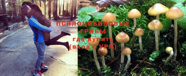 спиды Саяногорск