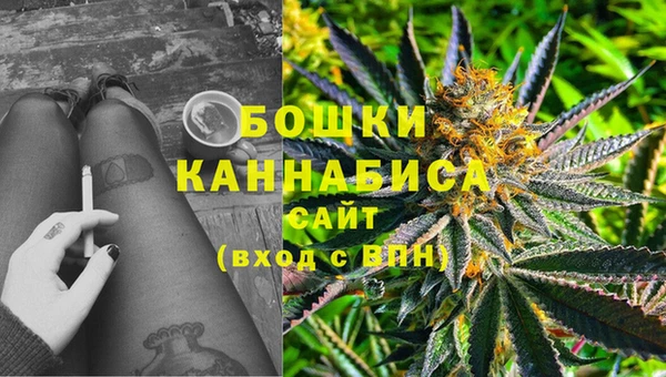 гидропоника Сатка