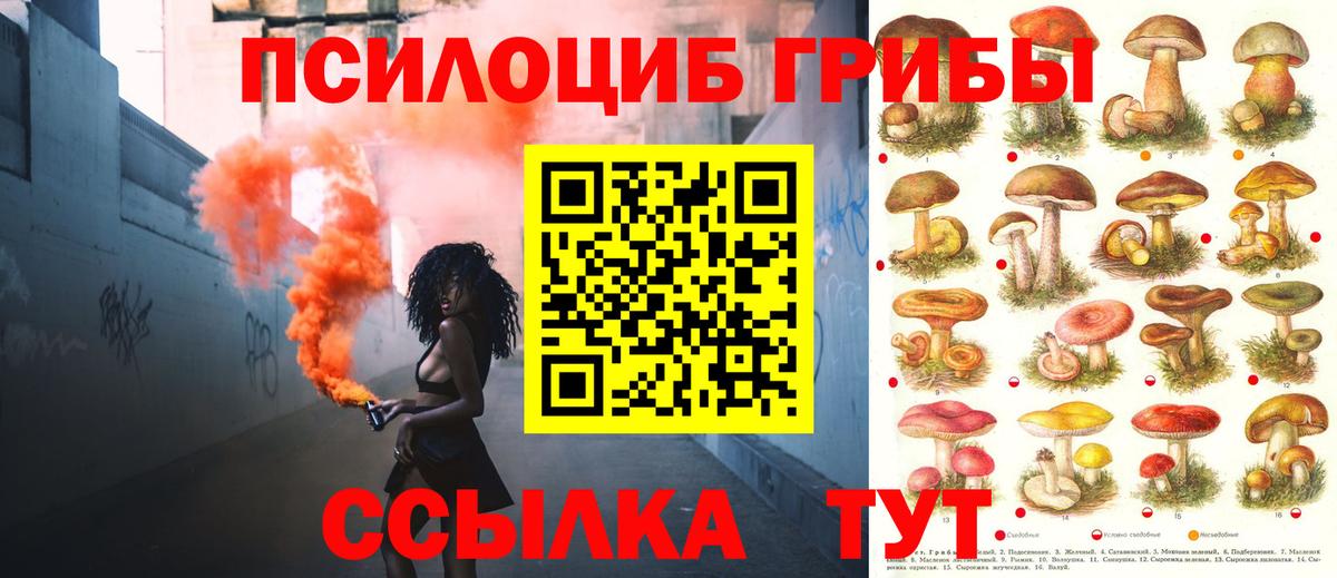 Галлюциногенные грибы прущие грибы  сколько стоит  Сланцы  Вход с VPN 