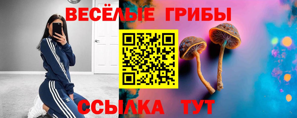 Псилоцибиновые грибы мицелий Сланцы